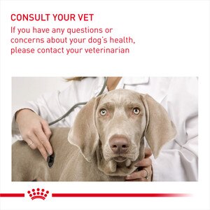 consult your vet before diet change